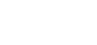 MiniGT